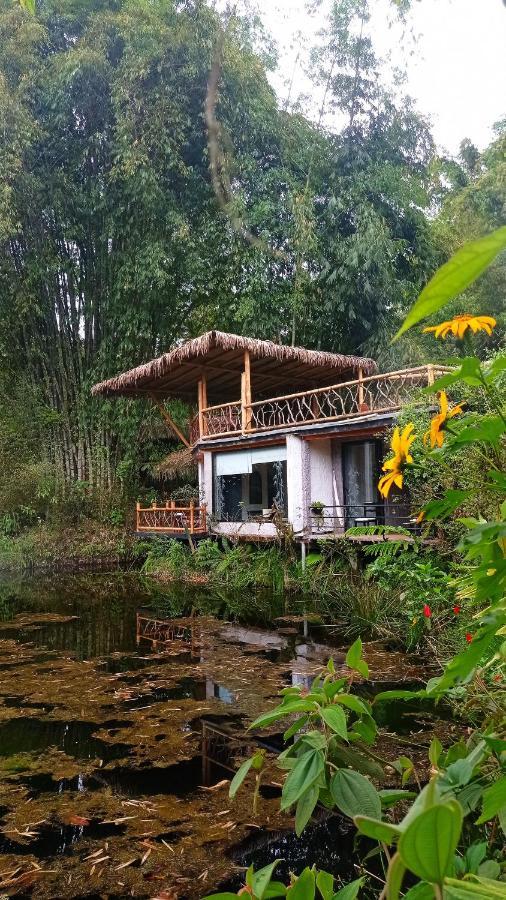 Cantalarana Lodge Mindo Εξωτερικό φωτογραφία