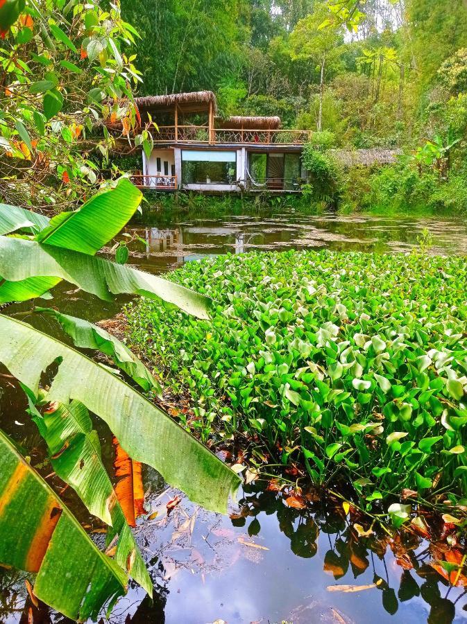 Cantalarana Lodge Mindo Εξωτερικό φωτογραφία